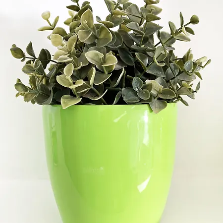 アパート Rainbow アヤナパ