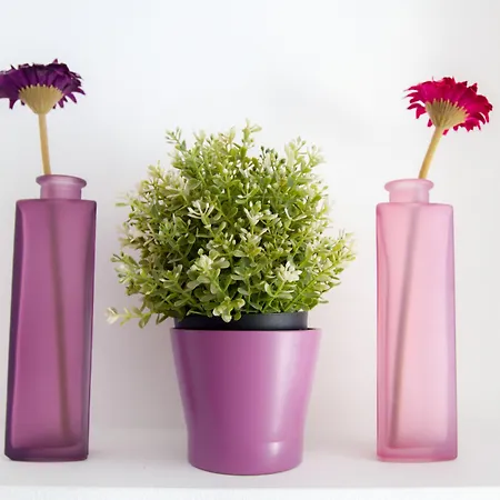 Appartamento Rainbow Ayia Napa