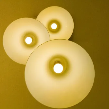 Rainbow アヤナパ