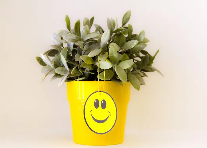 Appartamento Rainbow Ayia Napa