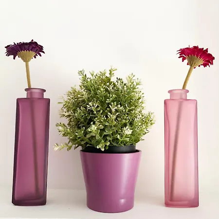 رينبوو شقة *