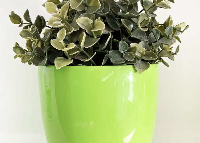 Апартаменты Rainbow Айя-Напа