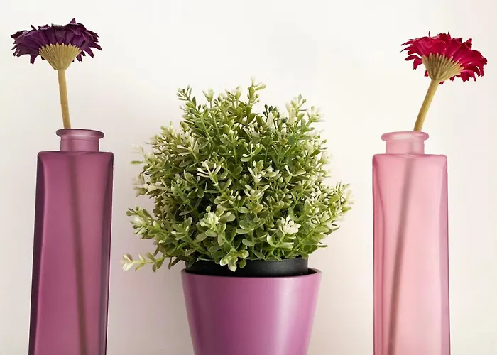 Rainbow Appartamento *